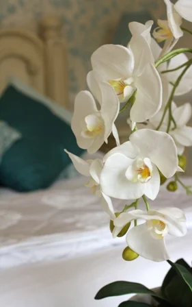 White orchid stems beside pale bedding and aqua cushions in a softly patterned bedroom